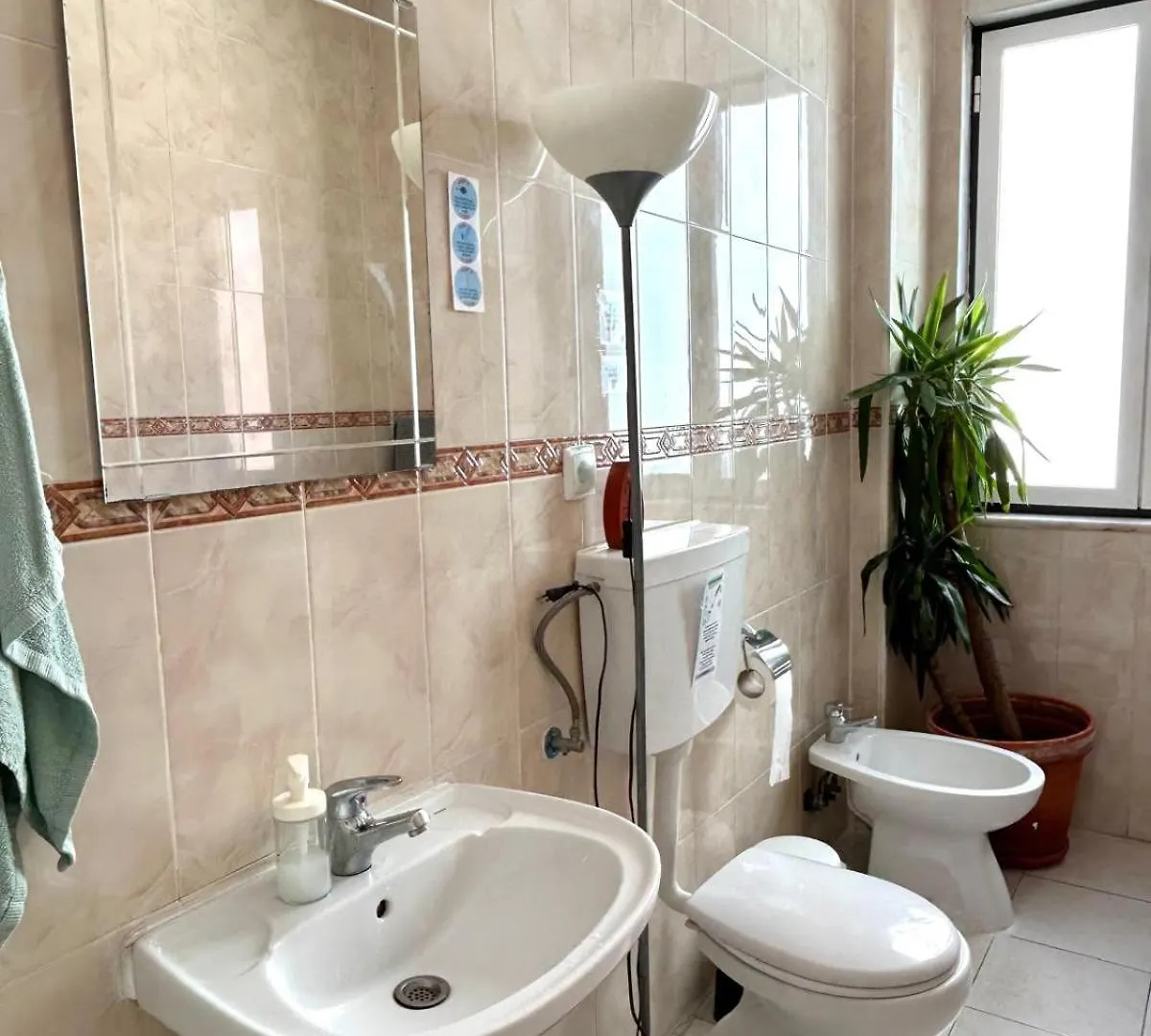 Central Lisbon Rooms In Palmira Shared Apartment For Surf Lovers Portugal